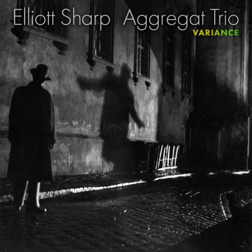 Elliott Sharp – Aggregat Trio Variance (2022) (ALBUM ZIP)
