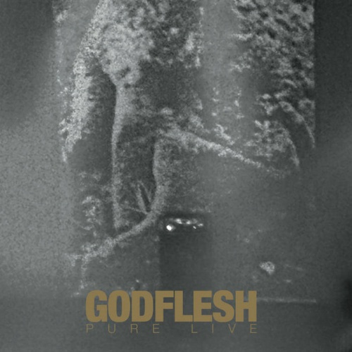 Godflesh – Pure Live (2022) (ALBUM ZIP)