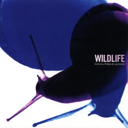 Anthony Phillips &amp; Joji Hirota – Wildlife Remastered (2023) (ALBUM ZIP)