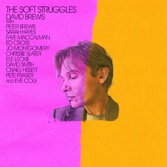 David Brewis – The Soft Struggles (2023) (ALBUM ZIP)