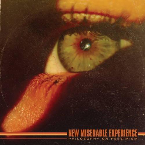 New Miserable Experience – Philosophy On Pessimism (2023) (ALBUM ZIP)