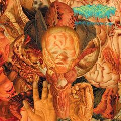 Festerdecay – Reality Rotten To The Core (2023) (ALBUM ZIP)