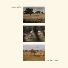 Xylouris White – The Forest In Me (2023) (ALBUM ZIP)