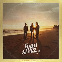 Toad The Wet Sprocket – All You Want (2023) (ALBUM ZIP)