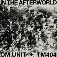 Om Unit &amp; Tm404 – In The Afterworld (2023) (ALBUM ZIP)