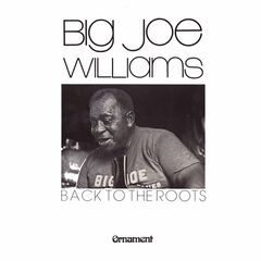 Big Joe Williams – Back To The Roots (2023) (ALBUM ZIP)