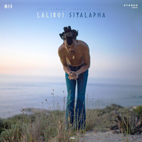 Laliboi &amp; Spoek Mathambo – Siyalapha (2023) (ALBUM ZIP)