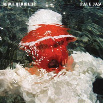Pale Jay – Bewilderment (2023) (ALBUM ZIP)