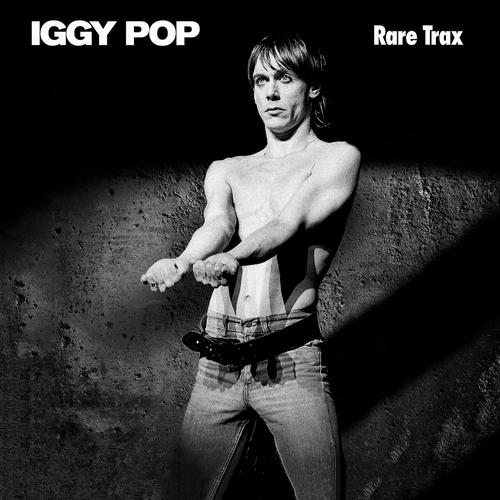 Iggy Pop – Rare Trax Remastered (2023) (ALBUM ZIP)