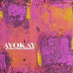 Ayokay – If Only For A Moment (2023) (ALBUM ZIP)