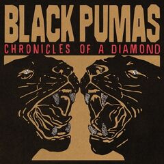 Black Pumas – Chronicles Of A Diamond (2023) (ALBUM ZIP)