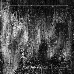 Om Unit – Acid Dub Versions II (2023) (ALBUM ZIP)