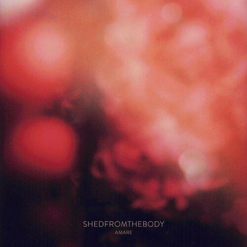 Shedfromthebody – Amare (2023) (ALBUM ZIP)