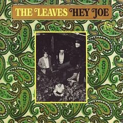 The Leaves – Hey Joe (2023) (ALBUM ZIP)