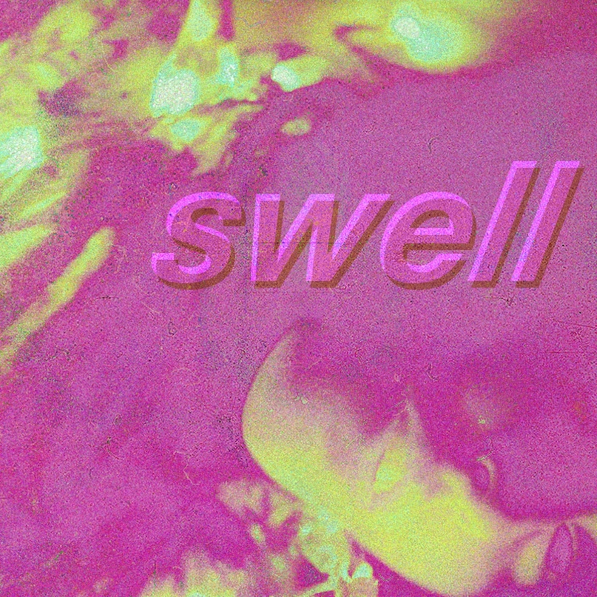 Animal Ghosts – Swell (2024) (ALBUM ZIP)