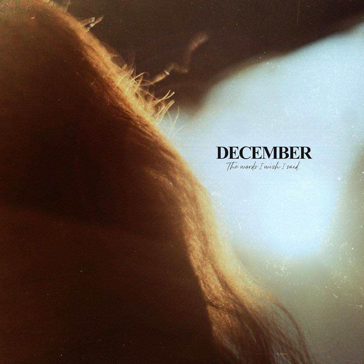 December – The Words I Wish I Said (2024) (ALBUM ZIP)