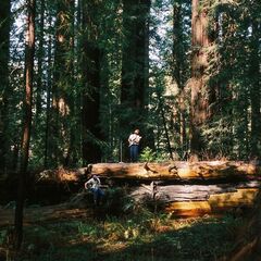 Caye – Redwood Sessions (2024) (ALBUM ZIP)