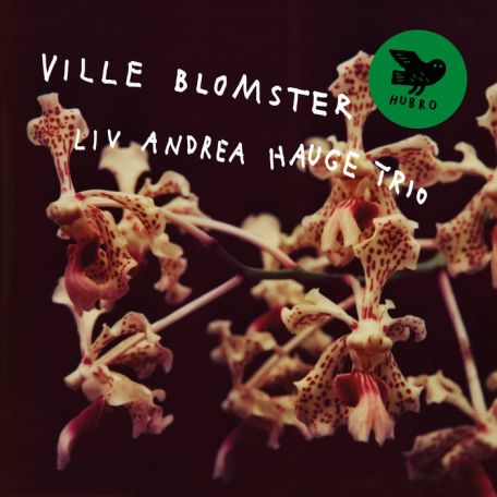 Liv Andrea Hauge Trio – Ville Blomster (2024) (ALBUM ZIP)
