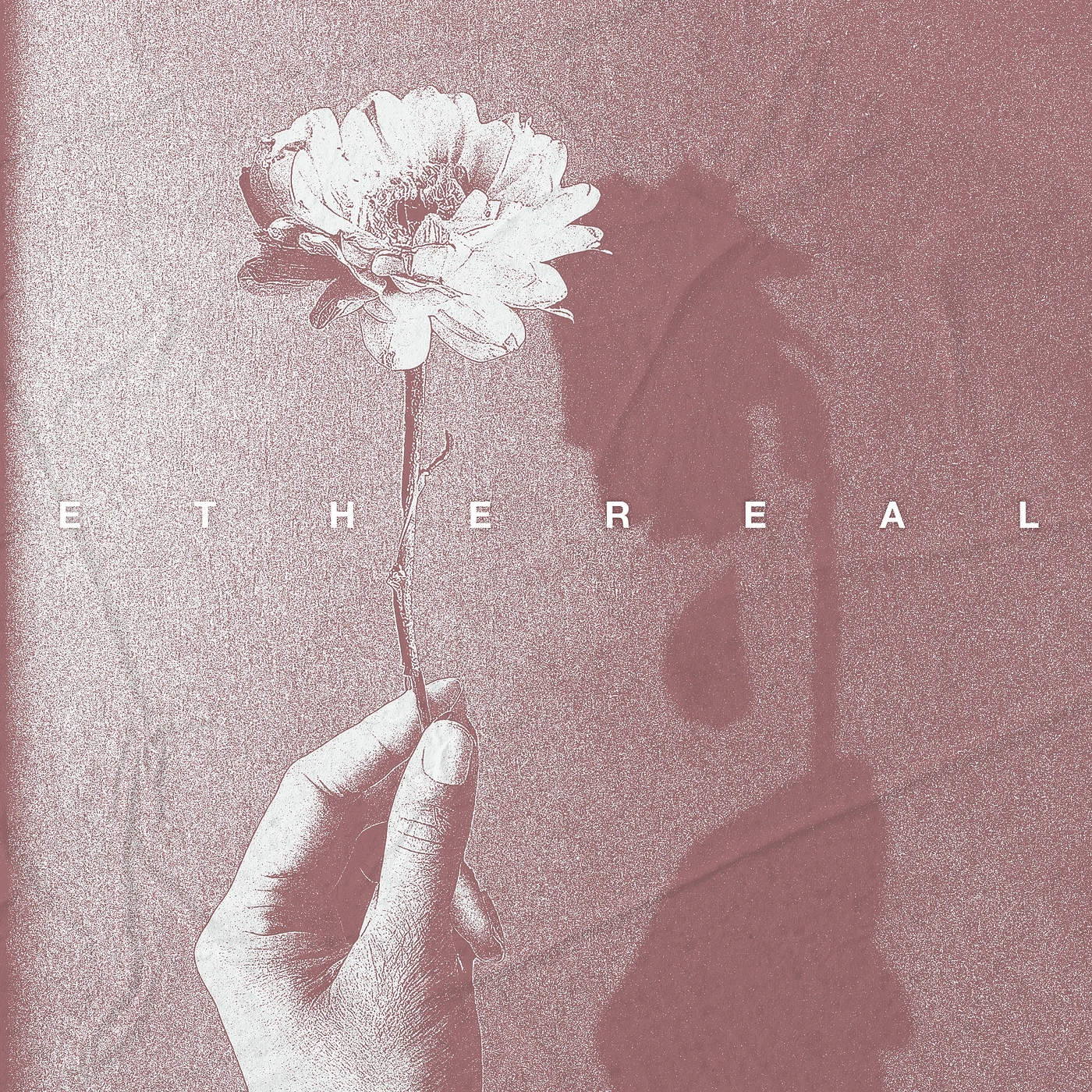 Windshelter – Ethereal (2024) (ALBUM ZIP)