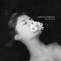 Black Nail Cabaret – Chrysanthemum (2024) (ALBUM ZIP)
