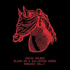 David Holmes – Blind On A Galloping Horse Remixes, Vol.1 Remixes (2024) (ALBUM ZIP)