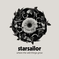 Starsailor – Where The Wild Things Grow (2024) (ALBUM ZIP)