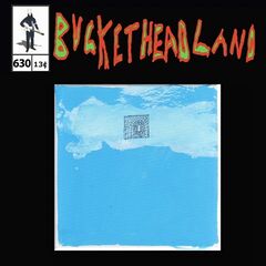 Buckethead – Home In The Sky (2024) (ALBUM ZIP)