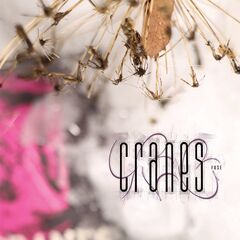 Cranes – Fuse (2024) (ALBUM ZIP)
