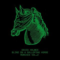 David Holmes – Blind On A Galloping Horse Remixes Vol. 2 (2024) (ALBUM ZIP)
