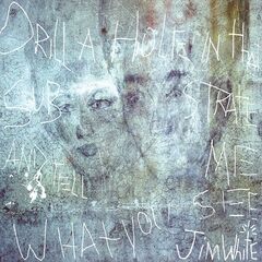 Jim White – Drill A Hole In That Substrate And Tell Me What You See (2024) (ALBUM ZIP)