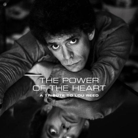 Various Artists – The Power Of The Heart A Tribute To Lou Reed (2024) (ALBUM ZIP)