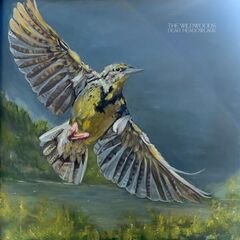The Wildwoods – Dear Meadowlark (2025) (ALBUM ZIP)